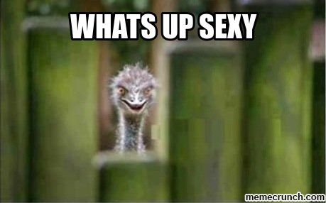 Draven (@fromtheshadowz) on Twitter photo 