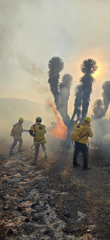 PC Estatal SLP tweet media