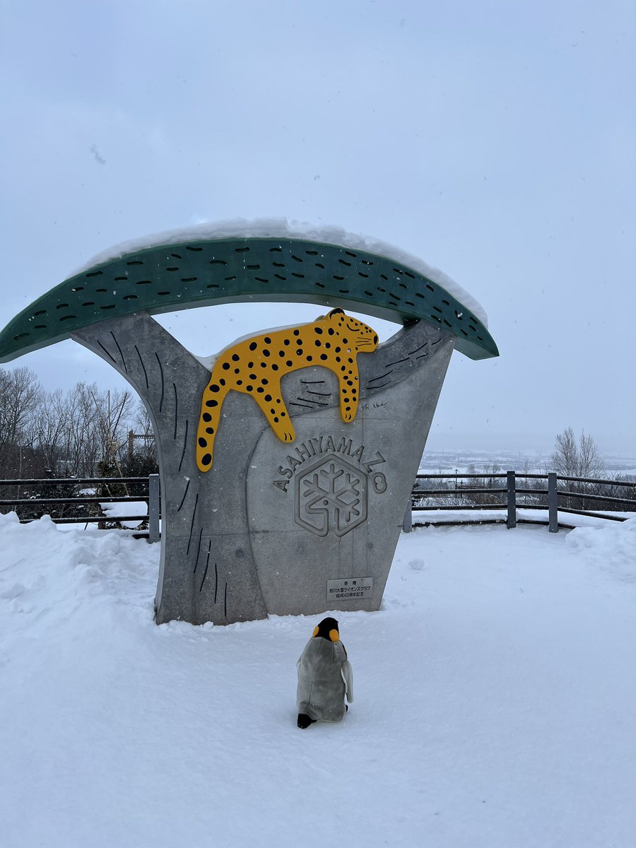 今日の天気】 2026-1-30 今朝の気温は-12.1℃です。今朝のこのような