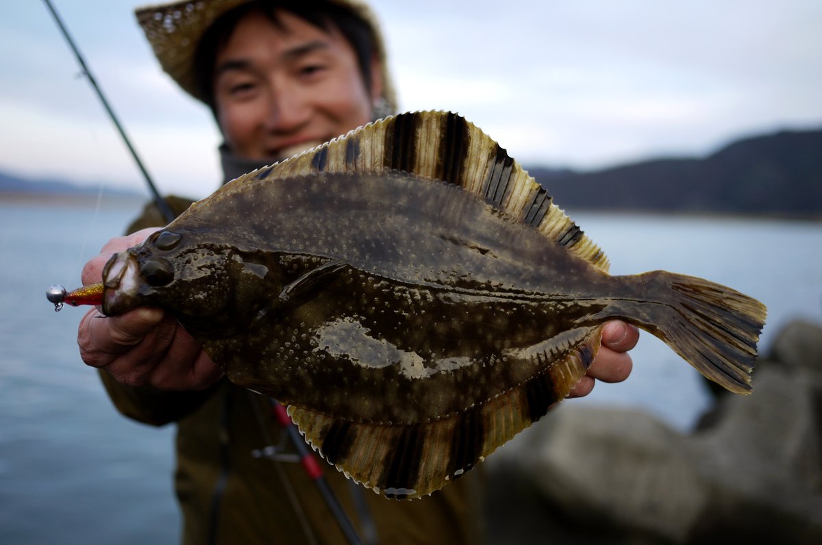 OBASSLIVE_MART (@obasslive) / Posts / X