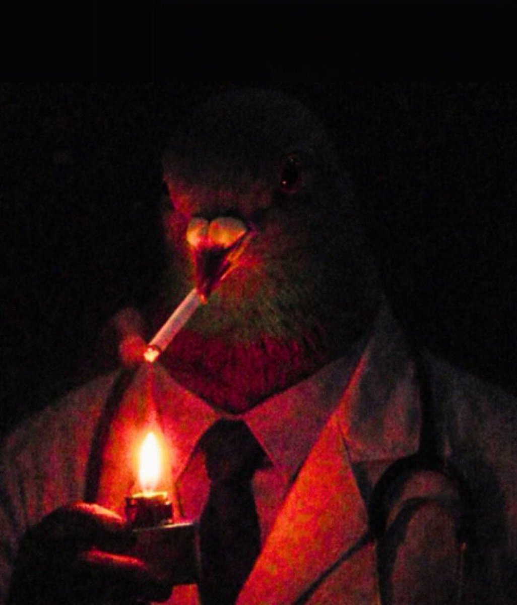 Spindigs tweet media