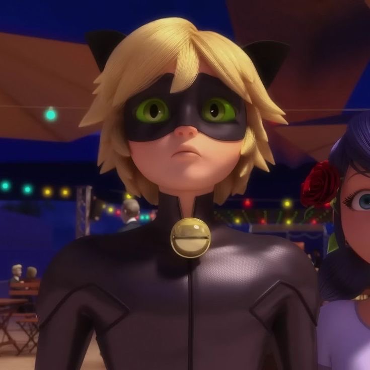 daily chat noir tweet media