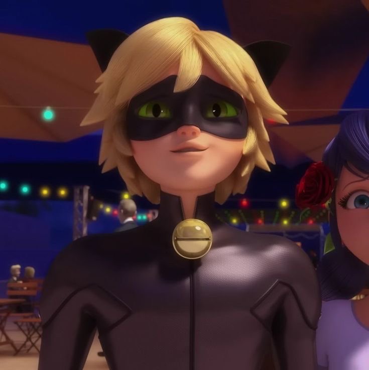 daily chat noir tweet media