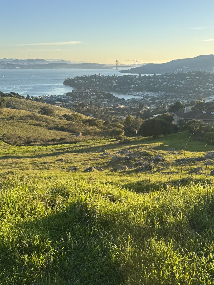 Jaana Dogan ヤナ ドガン tweet media