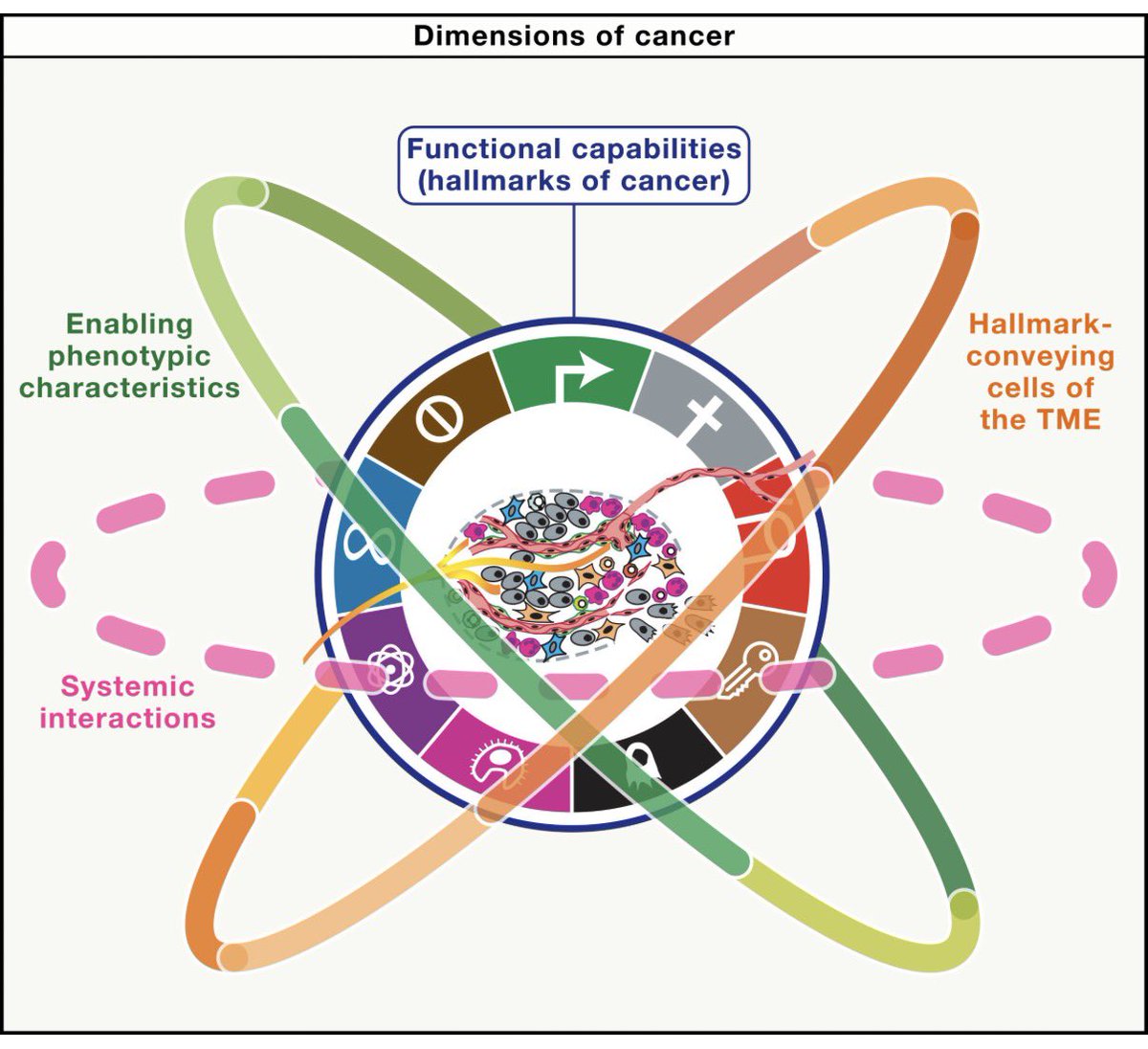 🌟25 years of the cancer “Hallmarks” updated

✅がんのHallmarksがこの25年でどう考えられてきたかを総括
✅メカニズムに基づく複数のhallmarkを多次元的に捉えることが重要

📚Cell 2026
cell.com/cell/fulltext/…