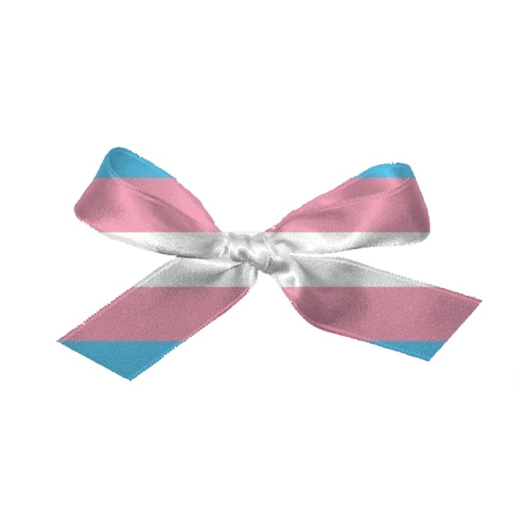 acervojasmi's tweet image. ꒷꒦︶  ๋ ࣭ ⭑ Headcanons #jasmi T4T !
Uma thread especial do dia da visibilidade trans &amp;lt;3 🏳️‍⚧️

(art by @saturny27)