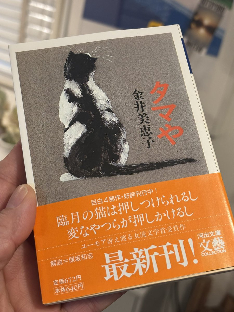 kitamidaisaku's tweet photo. タマや／金井美恵子 https://t.co/H9g8tuvZ7r