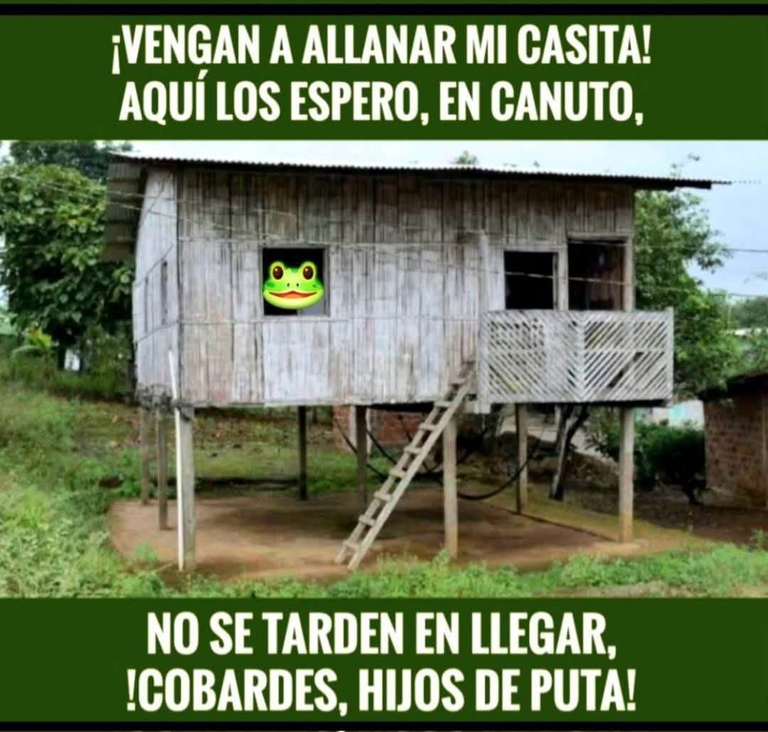 La Rana René 🐸👇👇👇👇👇👇👇👇👇