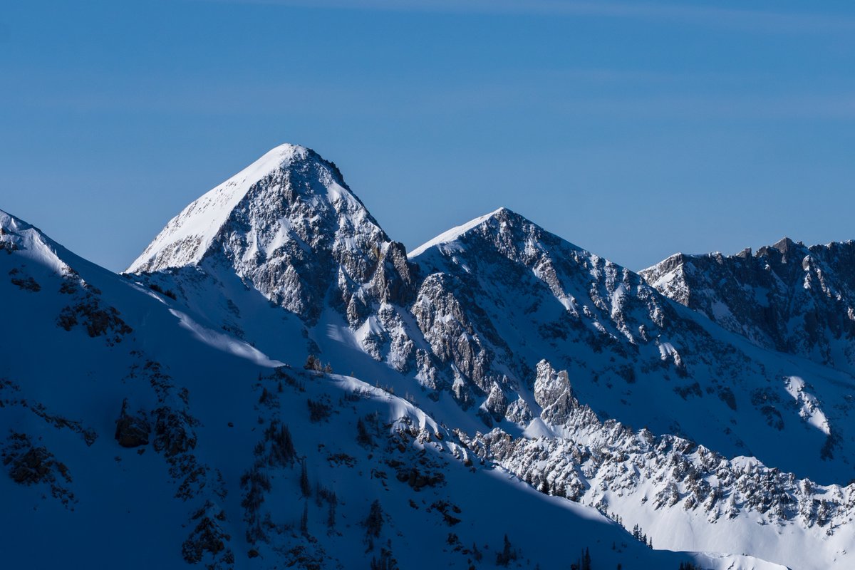 Snowbird tweet media