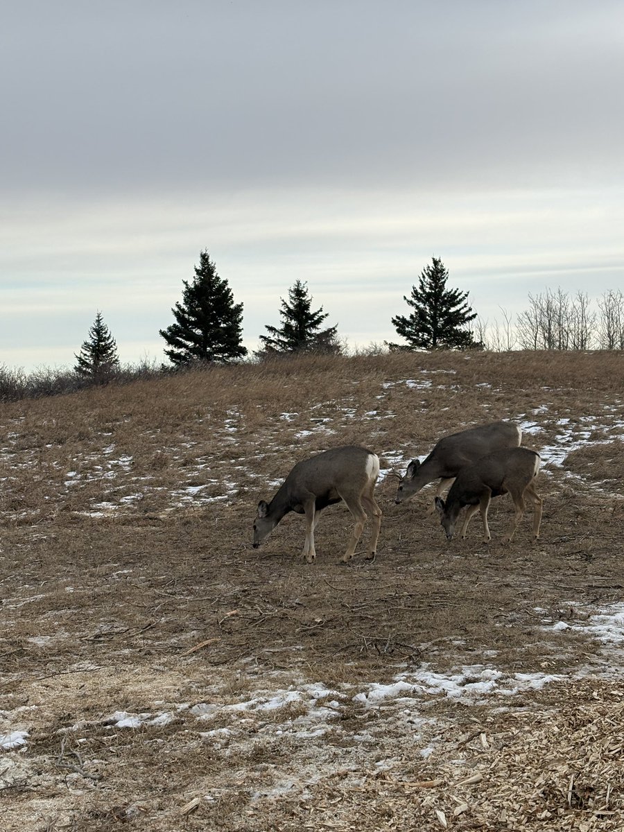 Ann & Sandy Cross Conservation Area tweet media