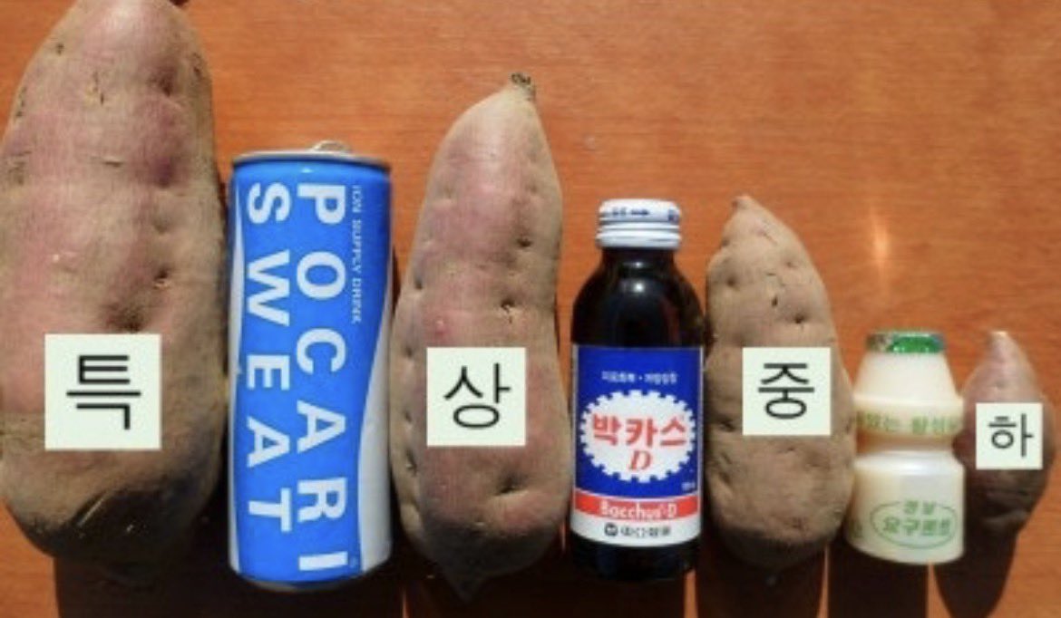 다이어트 대체가능 음식 공감합니다.
근데 “고구마”는 조심해야하는거 아시나요?

고구마 한덩어리가 밥 한공기 탄수화물을 
훨씬 넘길 수 있다는 걸 아시면
충격 받으실겁니다.

⭐️고구마 200g = 탄수화물 65g
⭐️밥 210g(햇반하나) = 탄수화물 68g

근데 고구마 200g이 얼마나 작은지 아시나요?