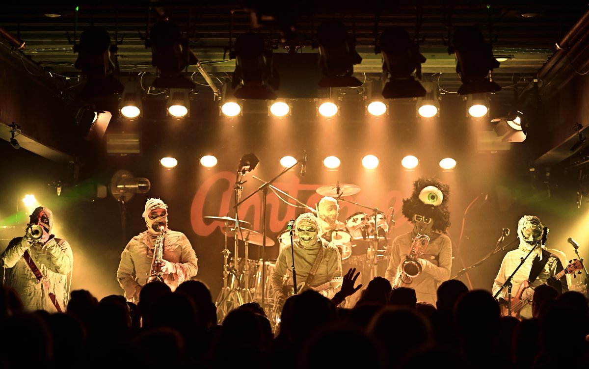 HereComeTheMummies tweet media