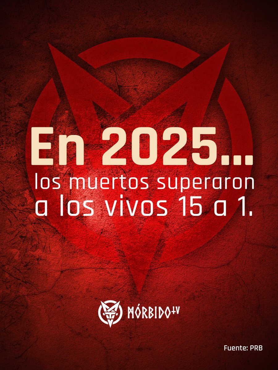 MORBIDO TV tweet media