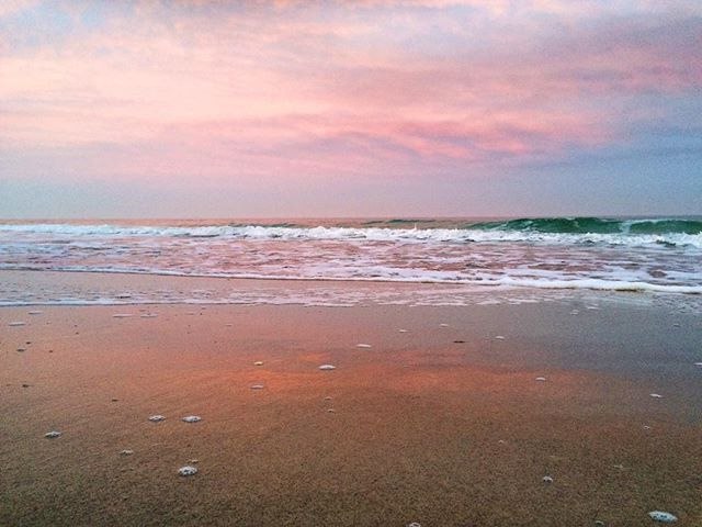 Катерина Галич tweet media