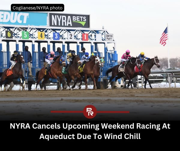 Hey <a href="/TwuSamuelsen/">John Samuelsen</a> <a href="/CarriageCavalry/">Christina Hansen</a> <a href="/TWULocal100/">TWU Local 100</a> why haven't you stated you are keeping your horses in during this cold without the city forcing you to do it? Seems as though EVERYONE else with horses near or in the city has. <a href="/nypost/">New York Post</a> <a href="/NYDailyNews/">New York Daily News</a> <a href="/peta/">PETA</a> <a href="/nyclass/">NYCLASS</a> <a href="/Gothamist/">Gothamist</a>