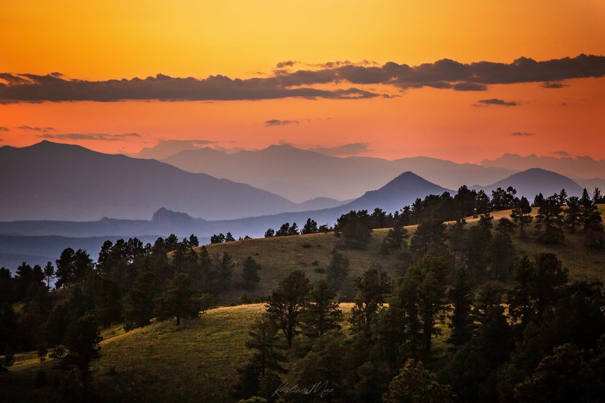 Kristin Mae Photography tweet media