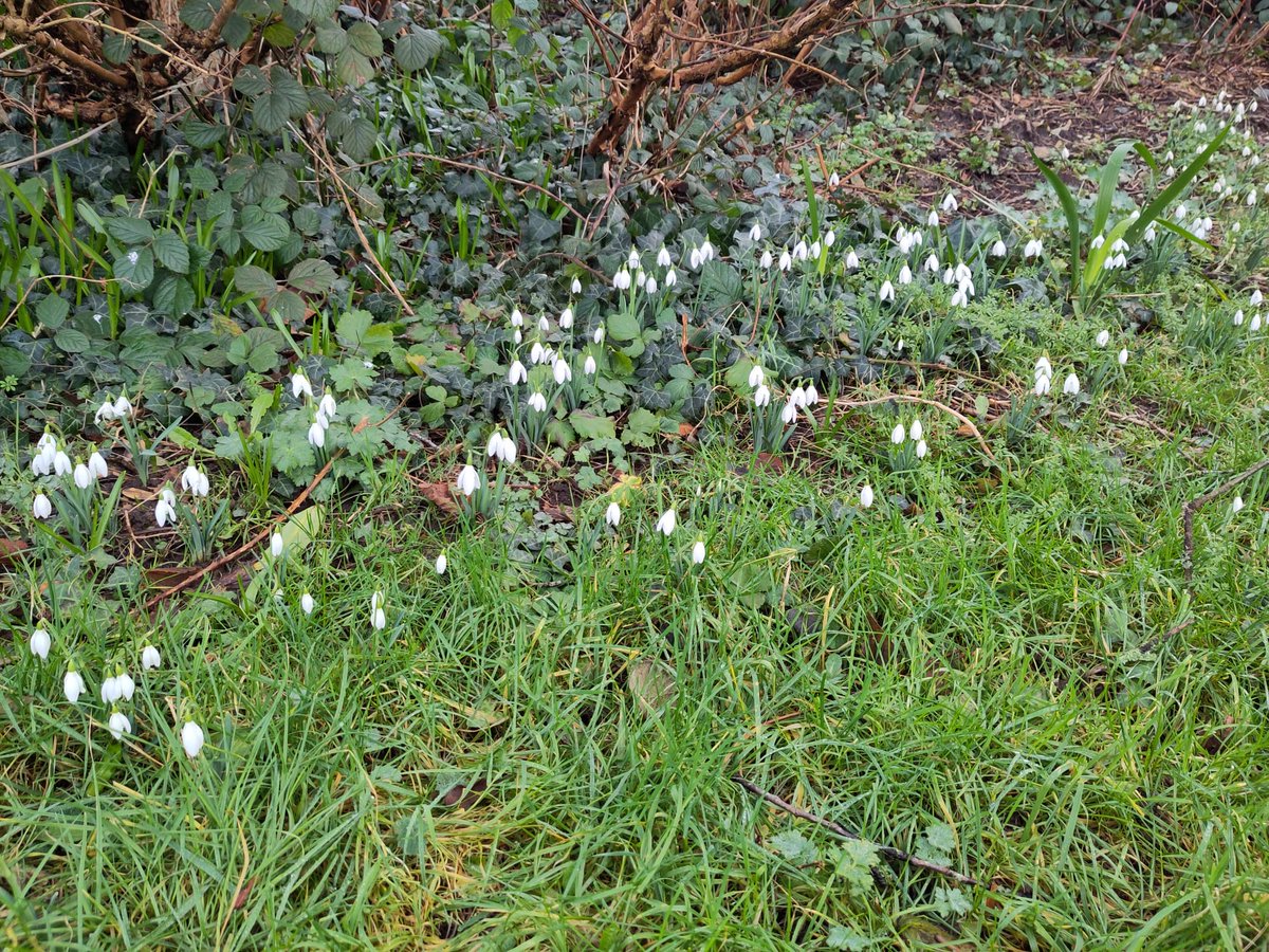 Friends of Portswood Rec tweet media