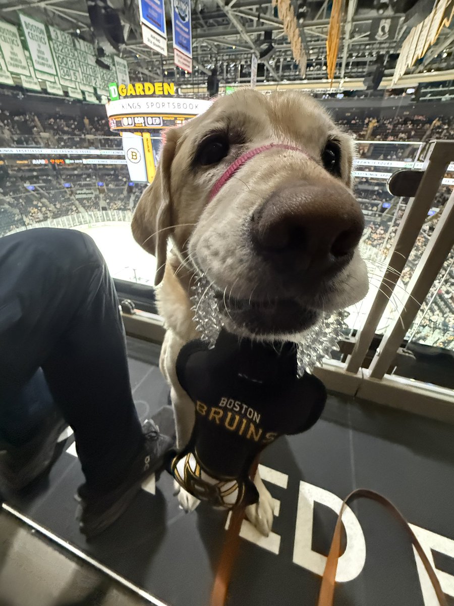 Robert Chalmers tweet media