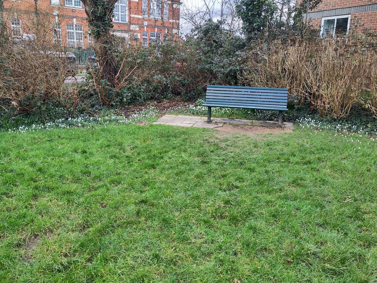 Friends of Portswood Rec tweet media