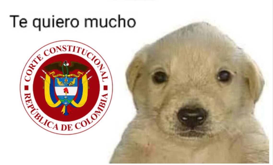 Daniela S. (@missfbe) on Twitter photo 