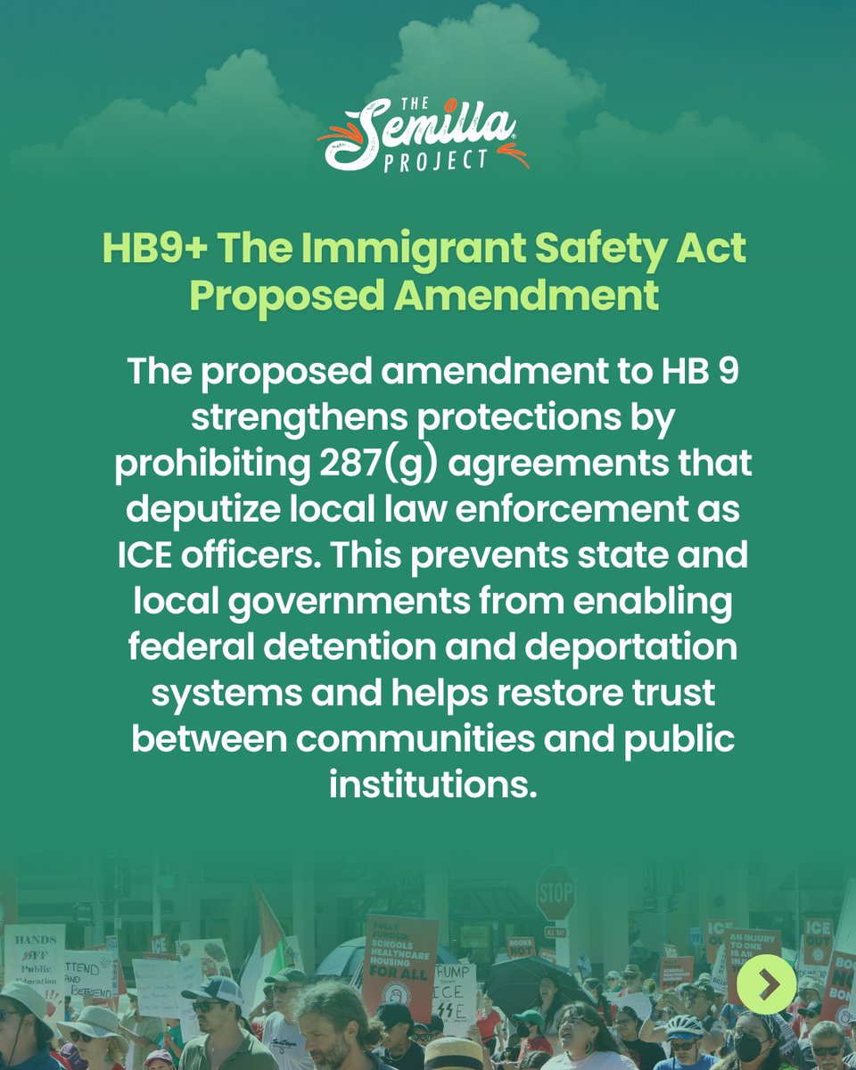 The Semilla Project tweet media