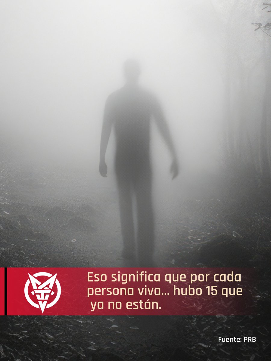 MORBIDO TV tweet media