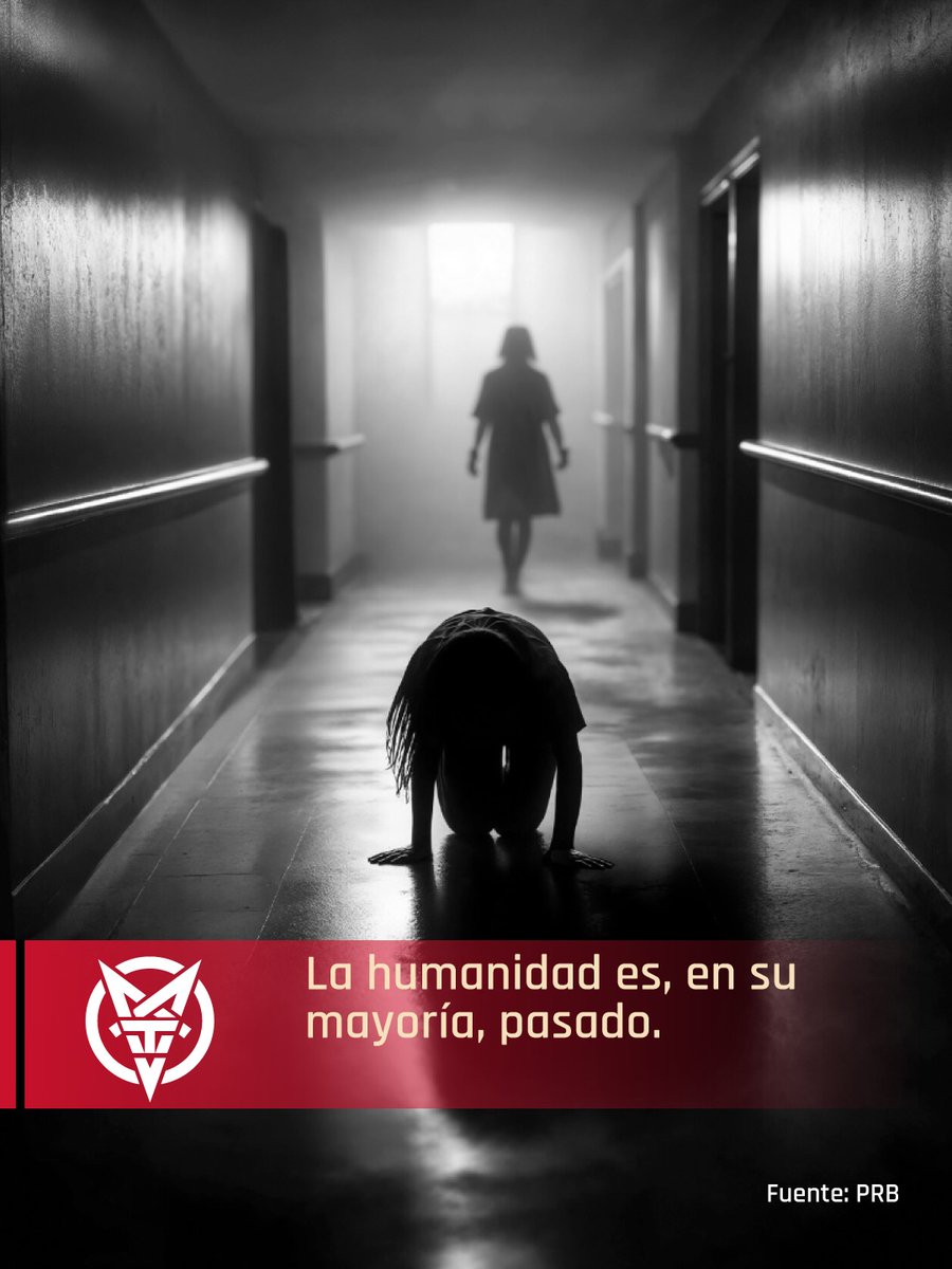 MORBIDO TV tweet media