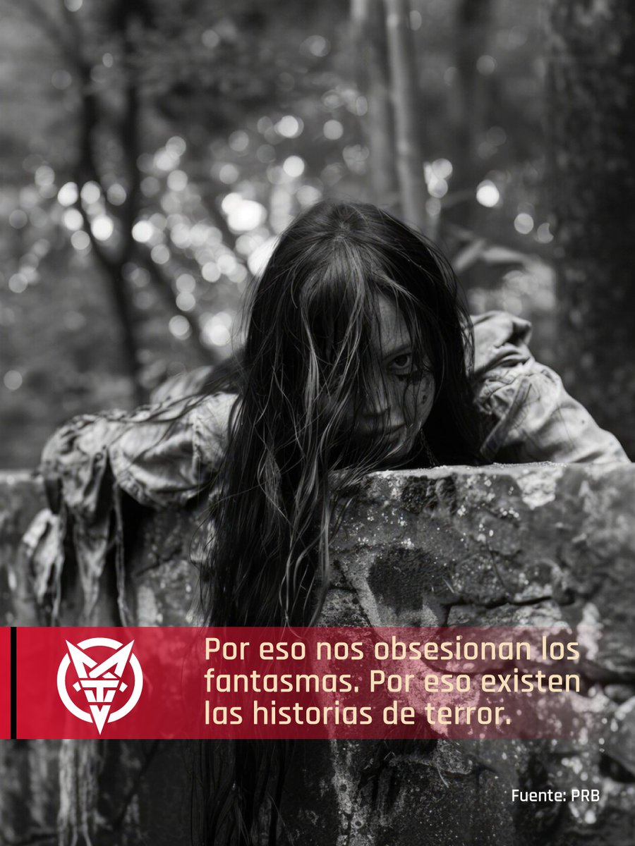 MORBIDO TV tweet media