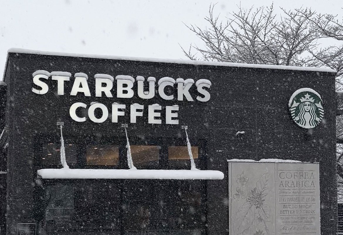 HILOKI_'s tweet photo. スタバのロゴの上の雪の積もり方計算されてるんかな🧐
かわいすぎなんだが https://t.co/L1TseUlWo9