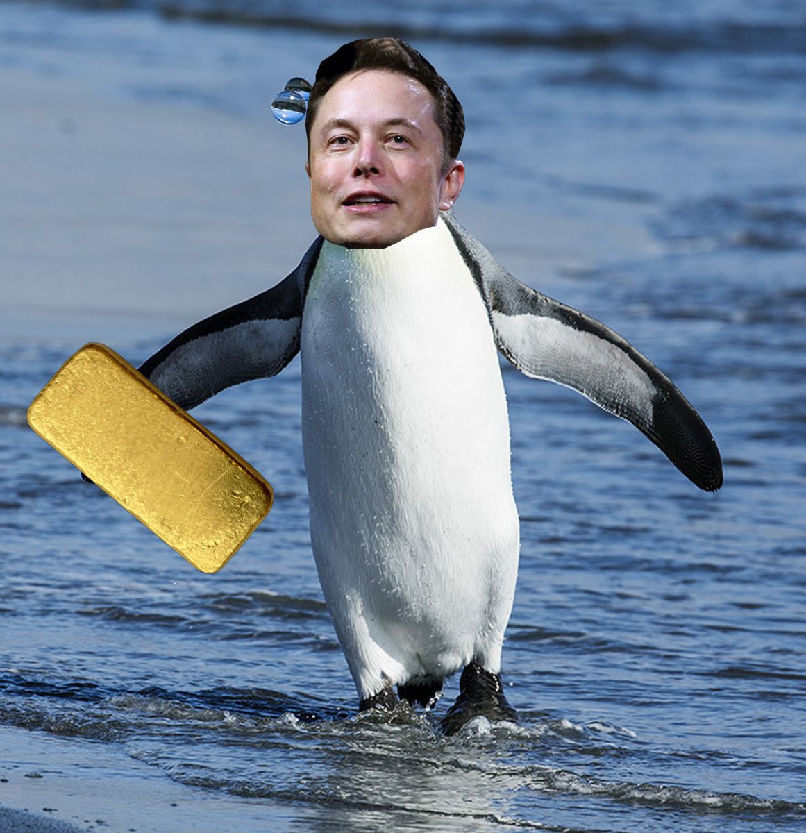 CHUDMAN! tweet media