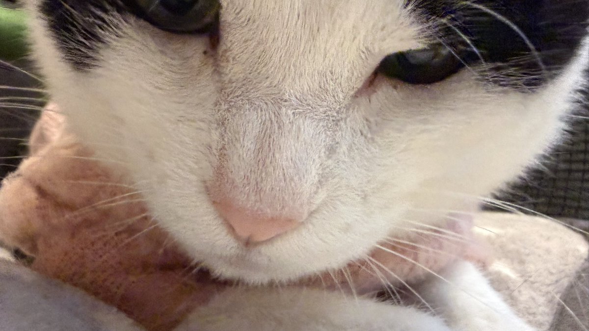 きぃちゃんをもっと近くで見たい人用です🤭