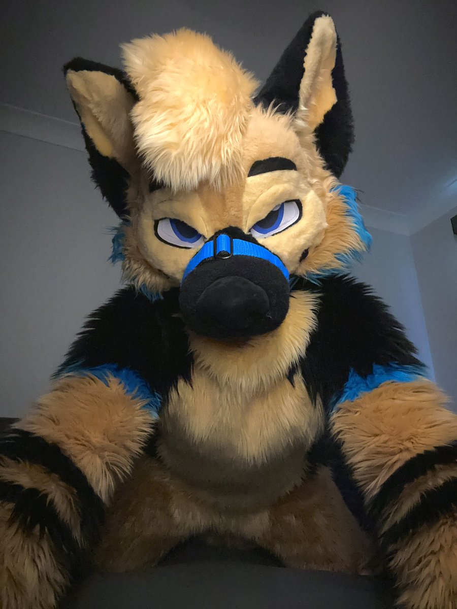 You find him in your bed…

What are you doing? 🐾