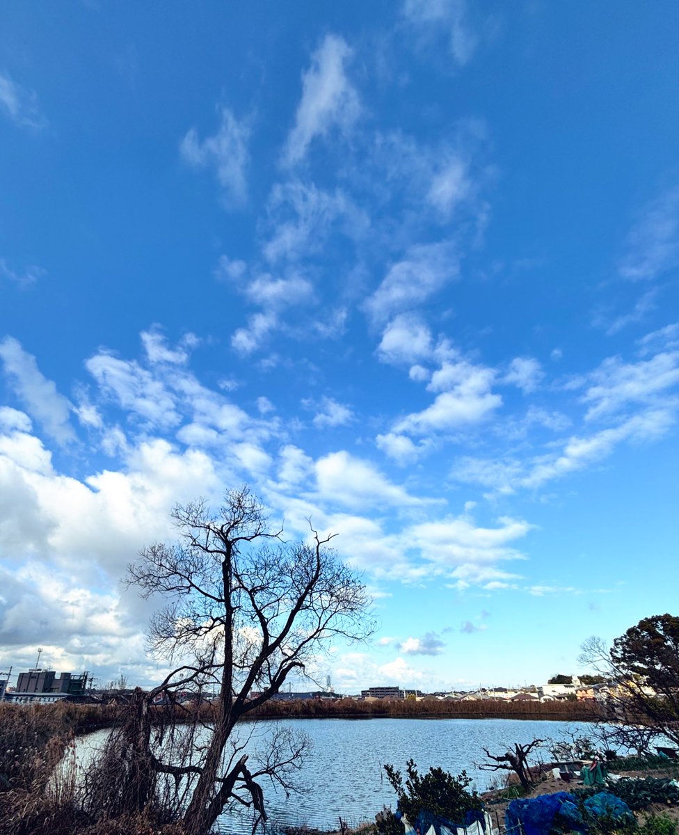 いつもの
おはようの景色