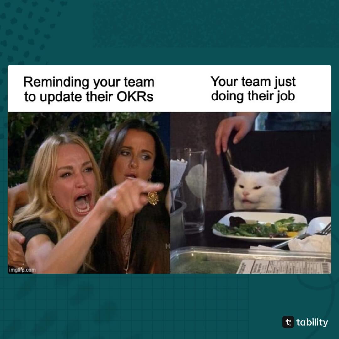 Tability tweet media