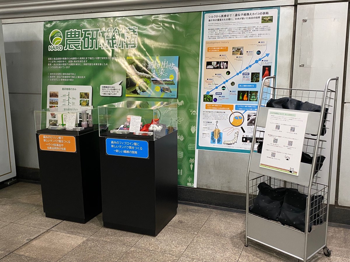 📢科学展示 第2弾 開始！ 当オフィス所属の #茨城県科学技術振興財団 が協力した ＃TXつくば駅 構内の科学展示・第2弾が開始しました✨  🗓期間：1/27～2月末 📍場所：#つくば駅 改札口付近 🏢出展法人：農研機構 🧬内容：遺伝子組み換えカイコの研究成果 つくば駅をご利用 ...