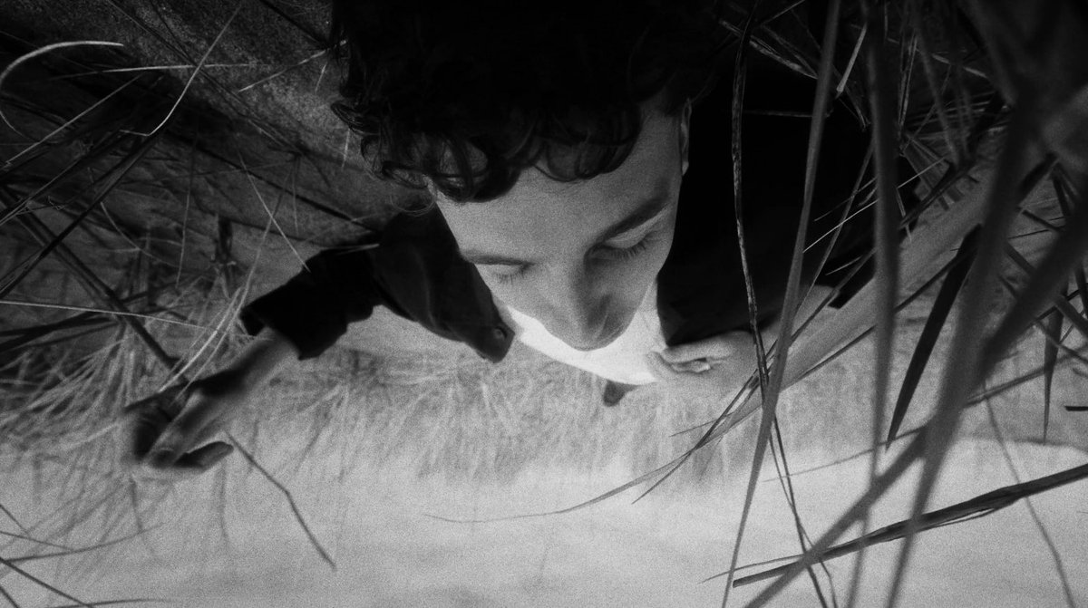 Touchdown MGMT tweet media