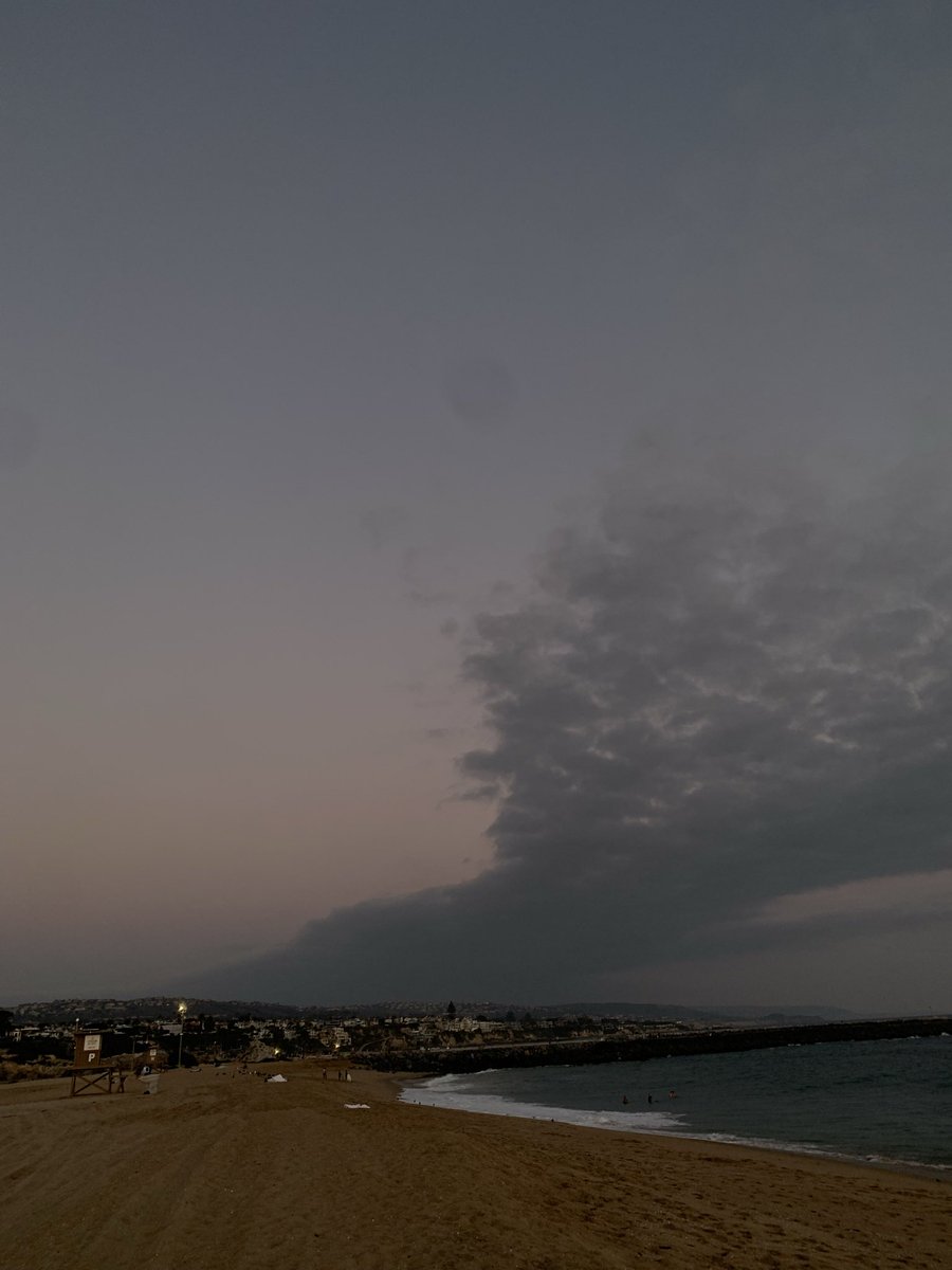 Sakai 🌙 tweet media