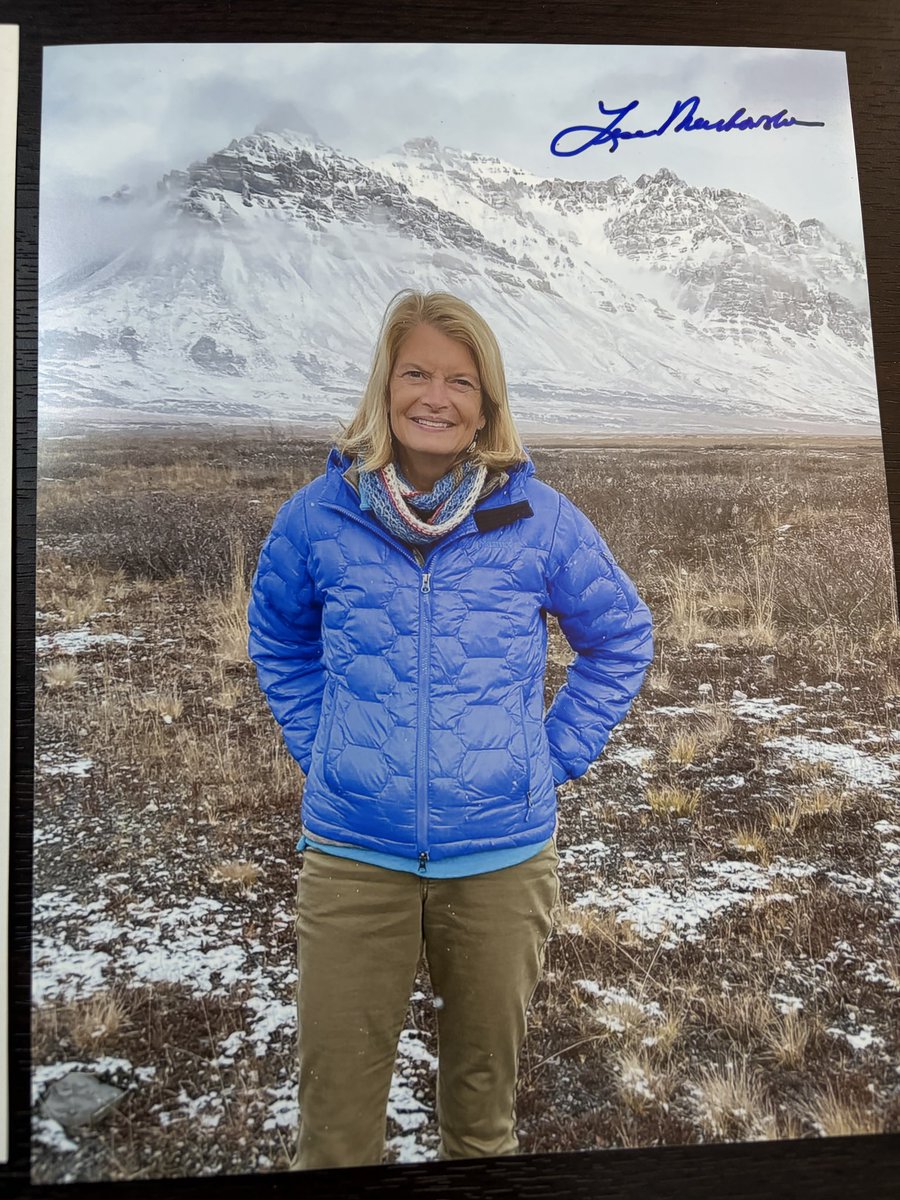 Dominic Helmstetter tweet media