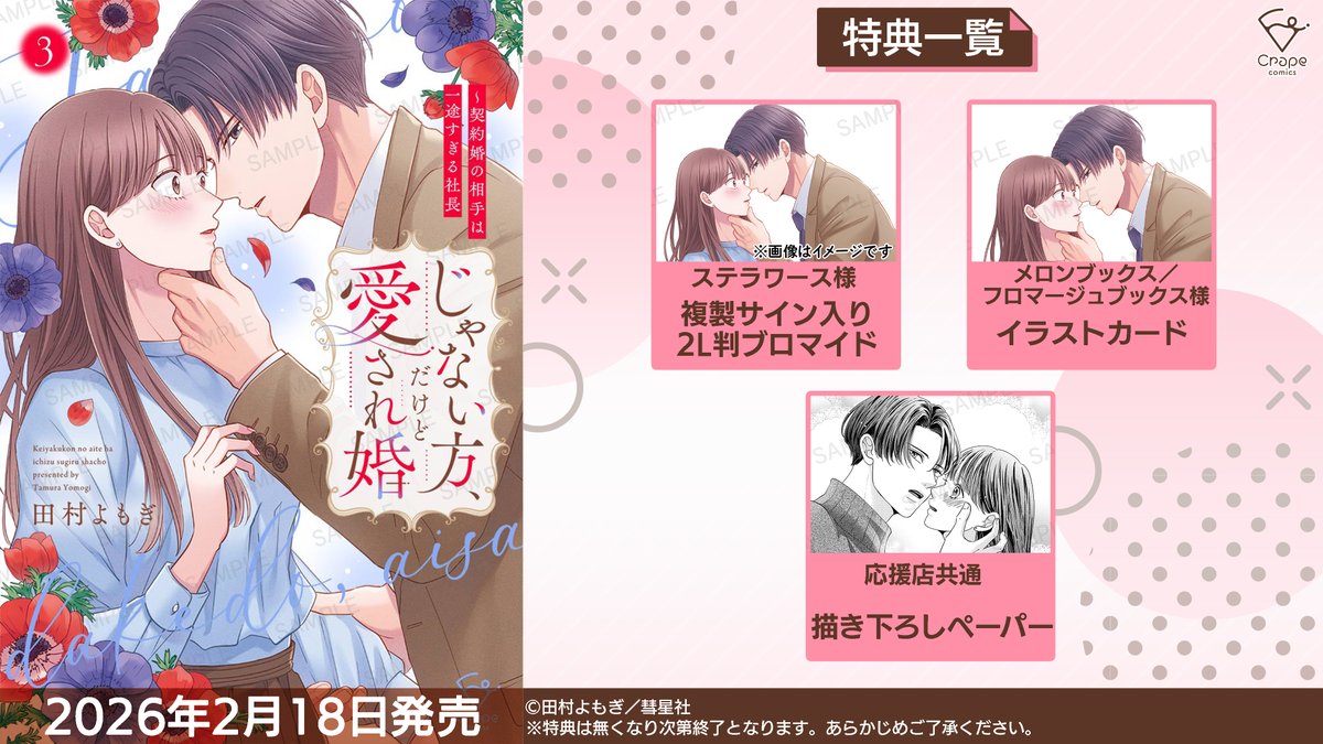 じゃない方、だけど愛され婚 ～契約婚の相手は一途すぎる社長 3巻本日 