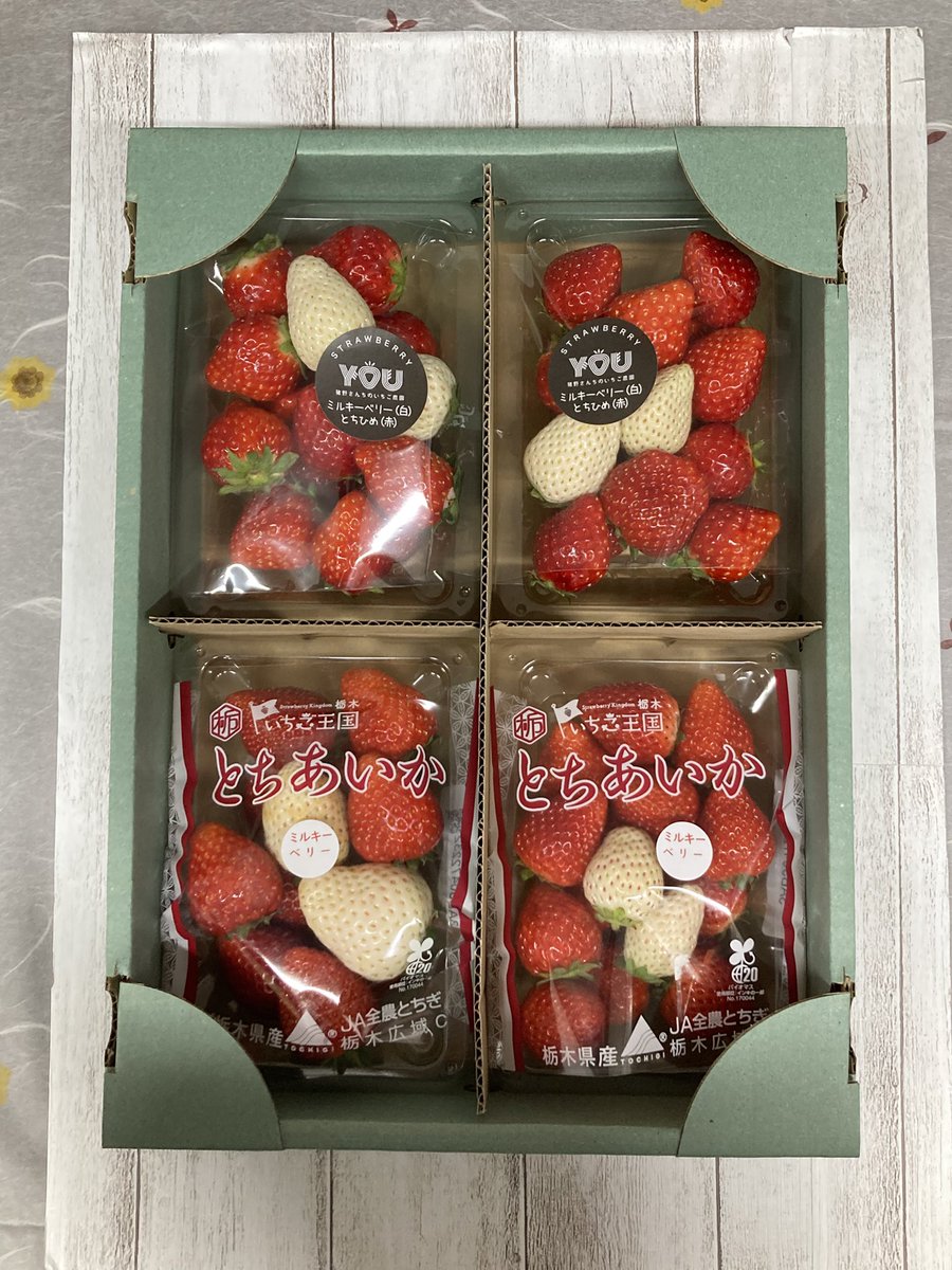 猪野さんちのいちご農園 (@inosanchino15) / Posts / X