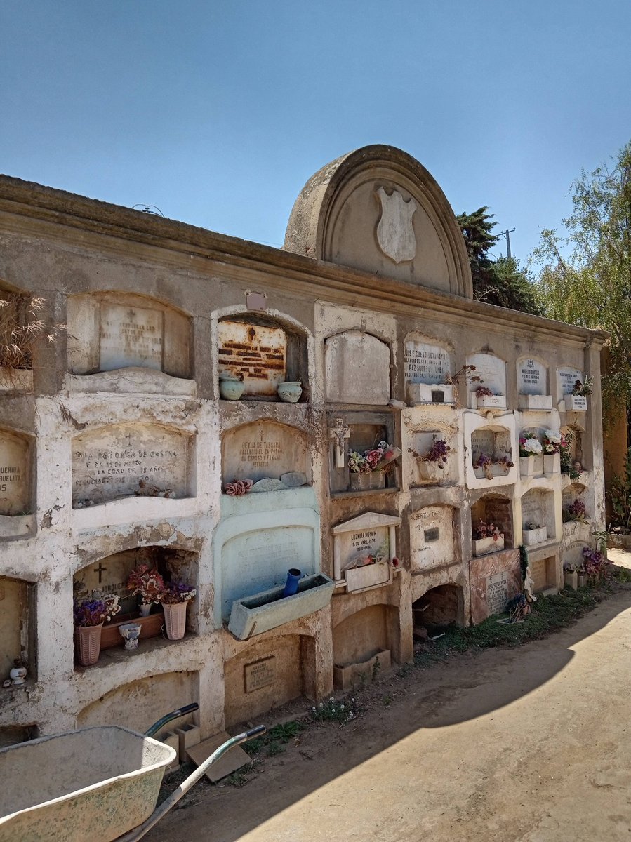 CCHYPF's tweet photo. CEMENTERIO MUNICIPAL DE OLMUÉ, PARTE IV 🪦

Registros de Maickoll Black Vidal durante su visita a este #cementerio. ⚰️✨️

#CementeriosChilenosYPatrimonioFunerario #CementeriosChilenos #NecrópolisChilenas #CementerioMunicipalDeOlmué #Tafofilia #Necromanía https://t.co/Df8Sqdv61a