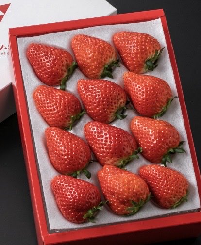 #TBSラジオ　
#耳金 スペシャル企画❣️

２月６日（金）
「聞いてよ！今ちゃんテレフォン」📞
苛立っている、恋愛、おススメ…
エピソードを送ってください
📩 mimikin@tbs.co.jp

#今田耕司 お電話繋ぎます
メッセージもご紹介

全てのメッセージから
高級いちご「スカイベリー」🍓
15名プレゼント🎁