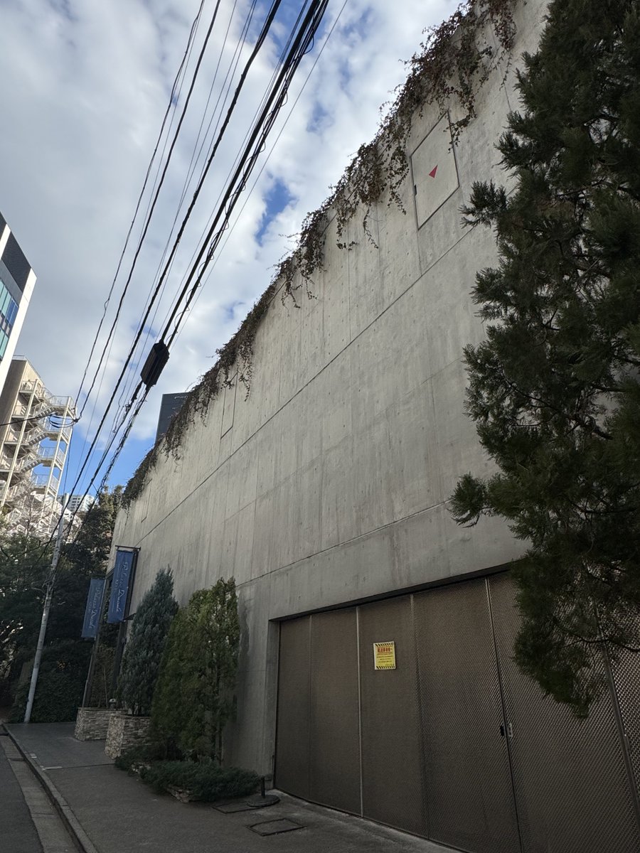 最初フランケンシュタインぽいなと思ったけどよく見ると赤い実がなってるオシャレなビル毛。

#ビル毛
#rooftop_hair