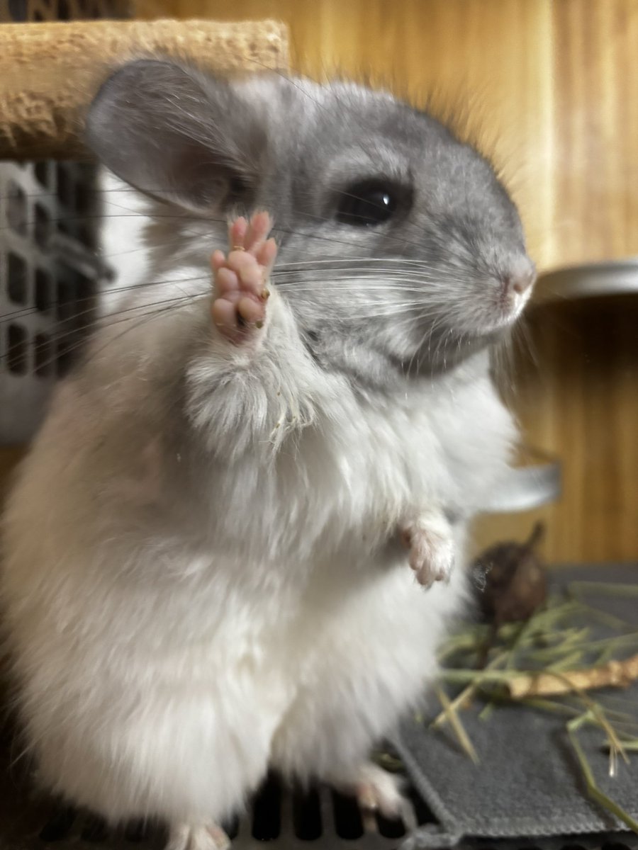 おまえもチラ主にならないか