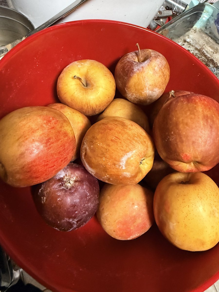 Hus4real.nft tweet media