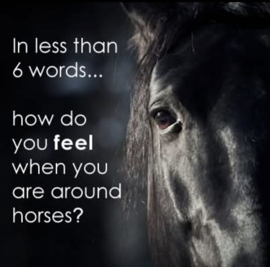 In less than 6 words…🐴