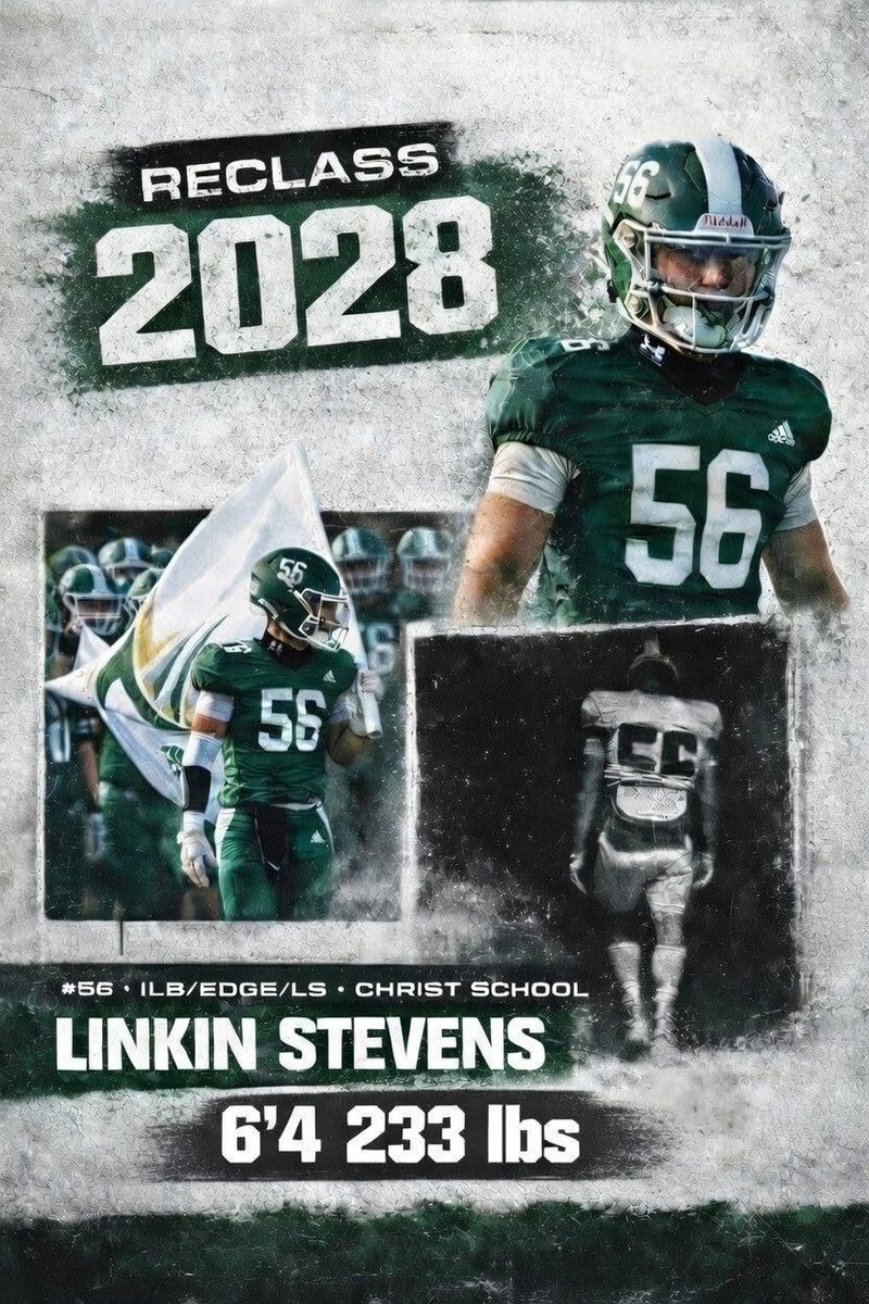 ⭐ Linkin Stevens ⭐ tweet media