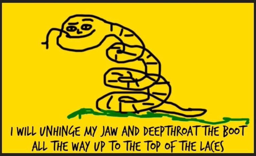 Cool Calm Dave 🇺🇦🇵🇸 tweet media