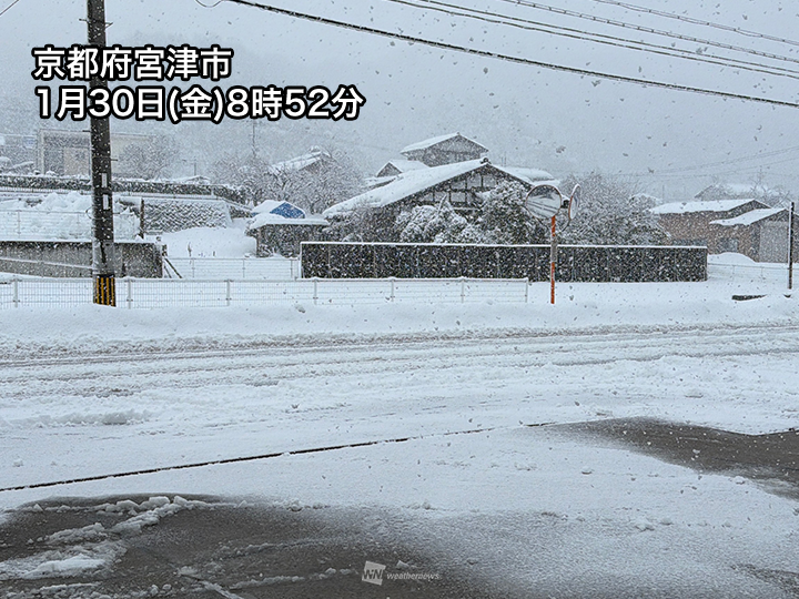 wni_jp's tweet image. ＜西日本日本海側で局地的に強い雪＞
近畿北部や山陰など西日本の日本海側では昨夜から雪が勢いを増してきました。
今日いっぱいは活発な雪雲がかかりやすく、積雪の増加に警戒が必要です。
weathernews.jp/news/202601/30…