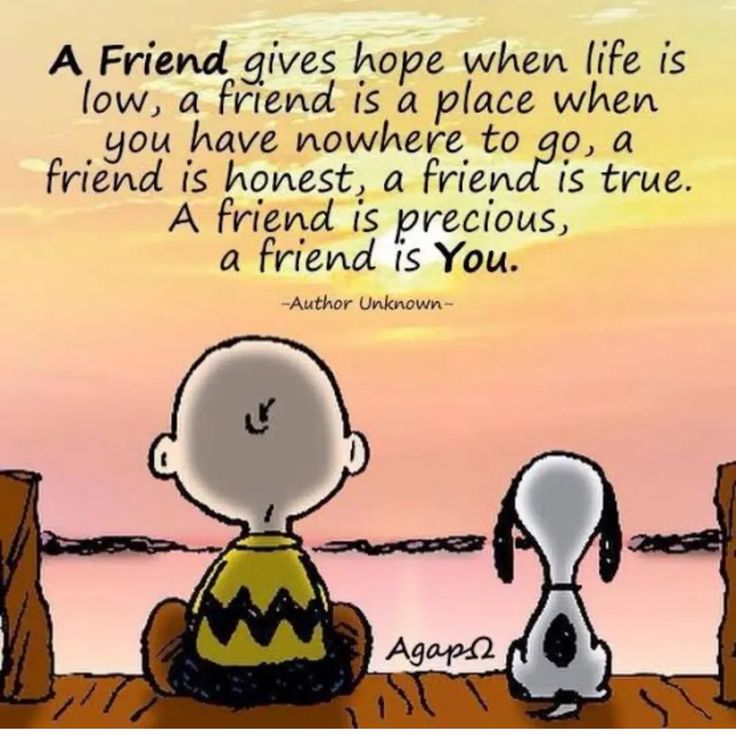 Lonely Snoopy Vibes tweet media